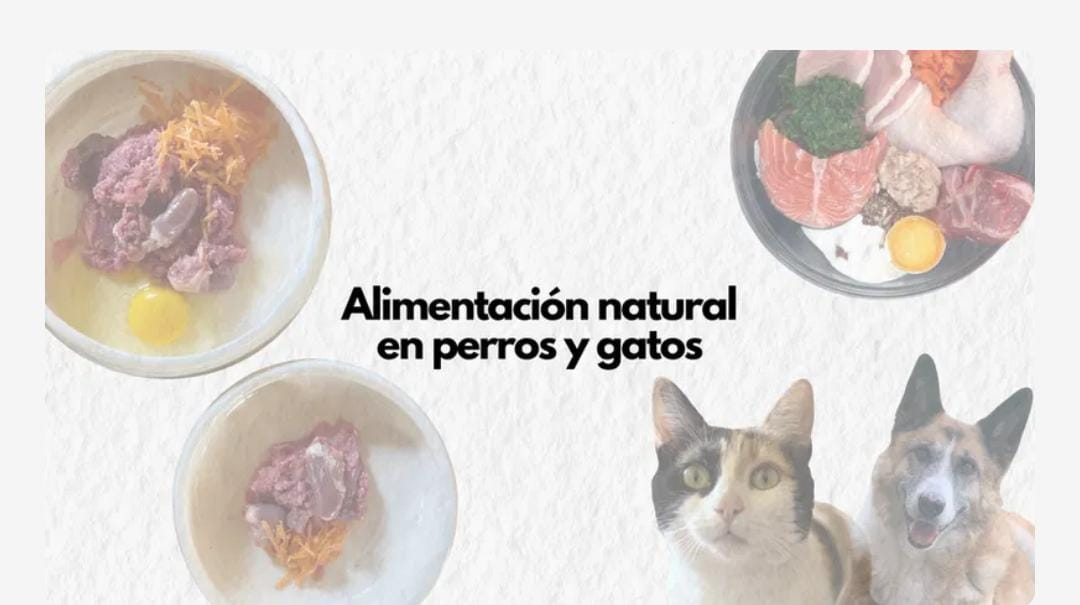 Portada con texto 'Alimentación natural en perros y gatos' y platos con ingredientes crudos